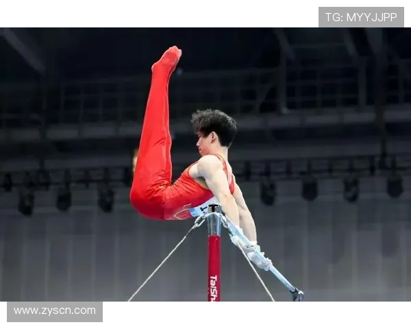 张博恒谈对体操艺术的深度钻